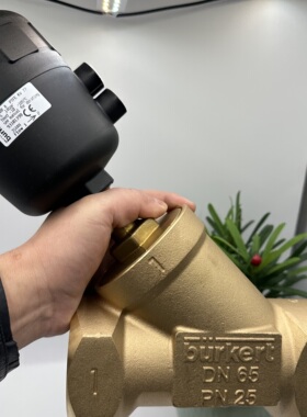 burkert宝德气动角座阀2000A DN65 双作用 93101398原装正品现货