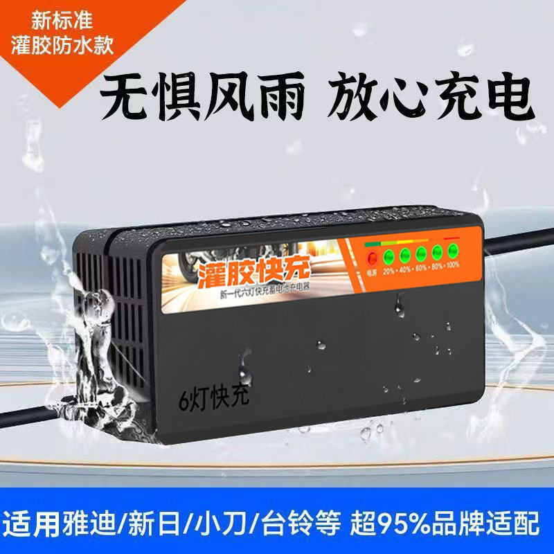 灌胶电动车铅酸电池充电器72V60V48V脉冲修复充满自停T型品字头