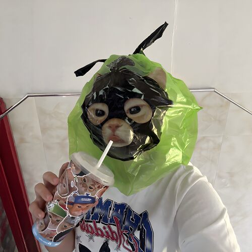 咪在中国当垃圾袋的天！小猫头套