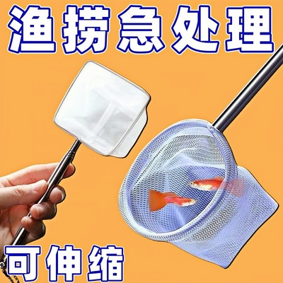 鱼捞网兜不锈钢热带观赏鱼专用