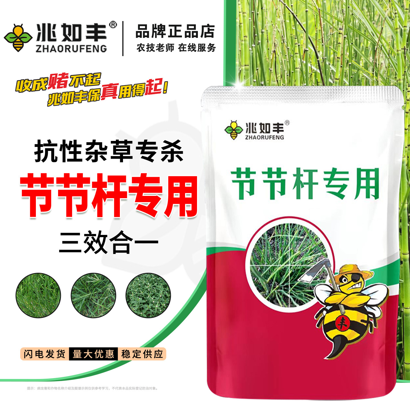 节节草专用除草烂根剂玉米地果园铁路笔管草克高效杀草农药正品
