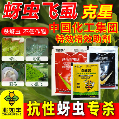 兆如丰呋虫胺呋虫胺白粉虱蚜虫