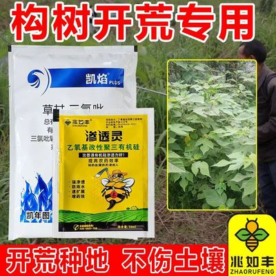 兆如丰三氯氟吡氧乙酸正品厂家