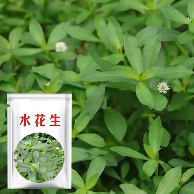 兆如丰水花生克星烂根剂2甲4氯钠