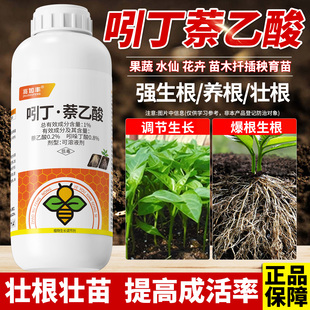 吲丁萘乙酸生根剂果蔬水仙花卉苗木扦插秧育苗强效爆发式生根剂液