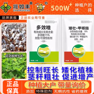 矮壮素多效唑甲哌嗡控旺梢药果树小麦水稻玉米蔬菜植物生长调节剂