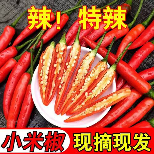 山东小米辣尖椒红辣椒新鲜现摘特辣小米椒朝天椒巨辣指天椒鲜椒
