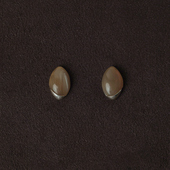 榛果耳钉 OLIO 黑牛角白牛角 WAAG 合作系列 ACETO油醋汁·OUDE