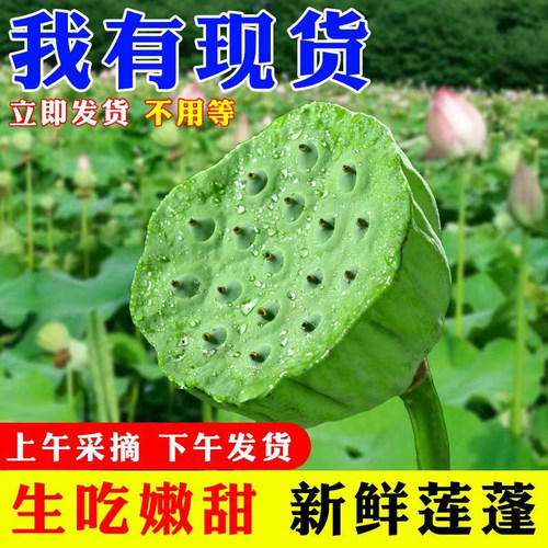 新鲜现摘脆甜多汁解暑水果
