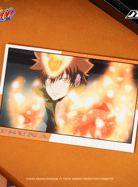 Joyouth现货 家庭教师 场面写明信片 沢田纲吉HITMAN REBORN!周边