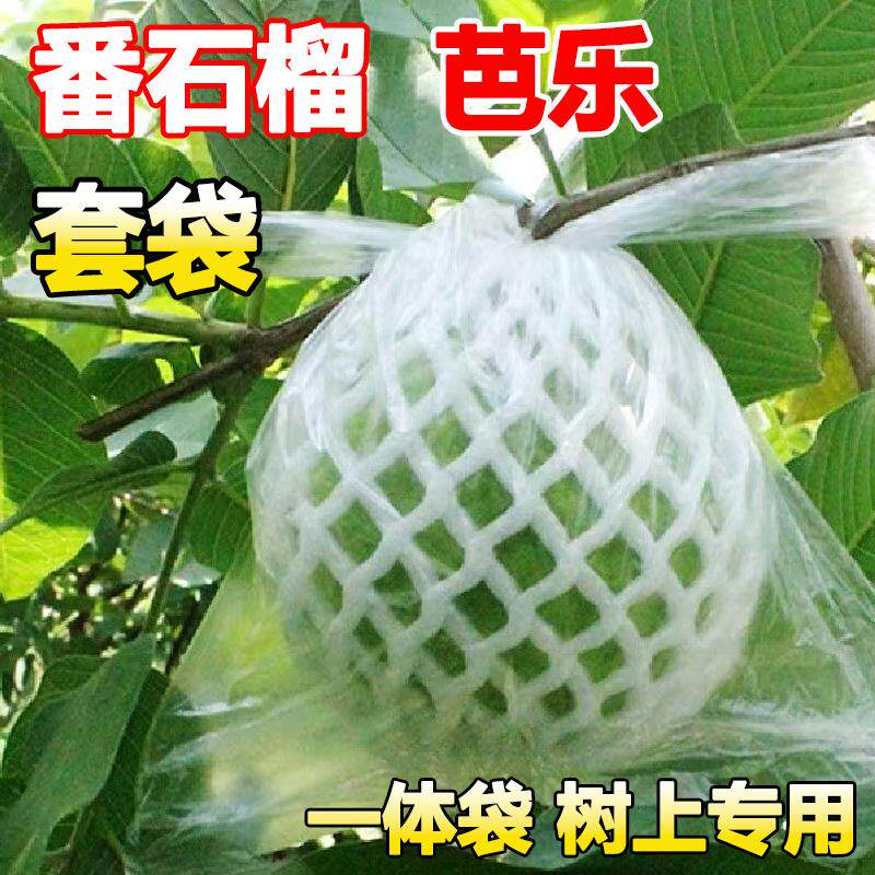 番石榴套袋网袋石榴专用套袋水果防虫保护袋果袋套袋芭乐袋子网套