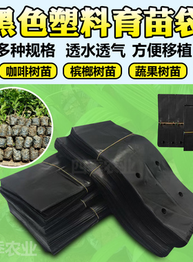 槟榔育苗袋黑色塑料育苗咖啡营养袋大号一次性花盆黑色桉树种植袋