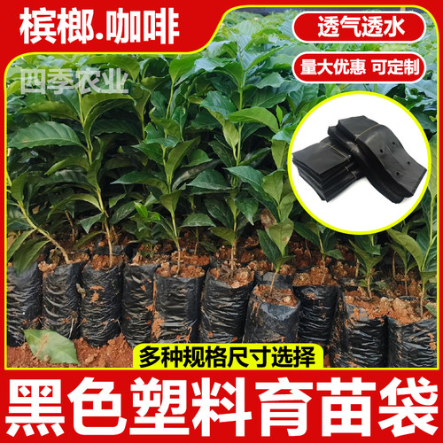 育苗袋咖啡育苗槟榔营养袋黑色塑料加厚小号种植袋桉树树苗营养袋