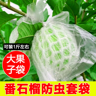 番石榴套袋网袋大芭乐杨桃防虫水果套袋防虫一体袋套石榴袋子网套