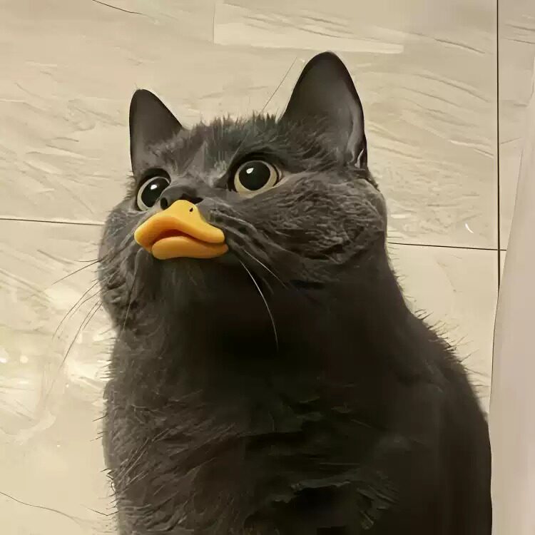 不鸡肋嘴套！猫咪鸭嘴套防咬防叫防乱吃宠物面罩猫咪拍照出片神器