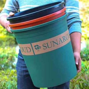 7加仑养绿萝的五5加仑花盆防烂根控根盆多肉大盆花盆深高大宽口径