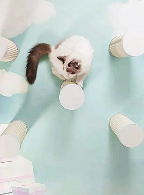 免打孔玻璃白色猫墙猫爬架壁挂剑麻柱猫窝跳台太空舱猫家具吸盘