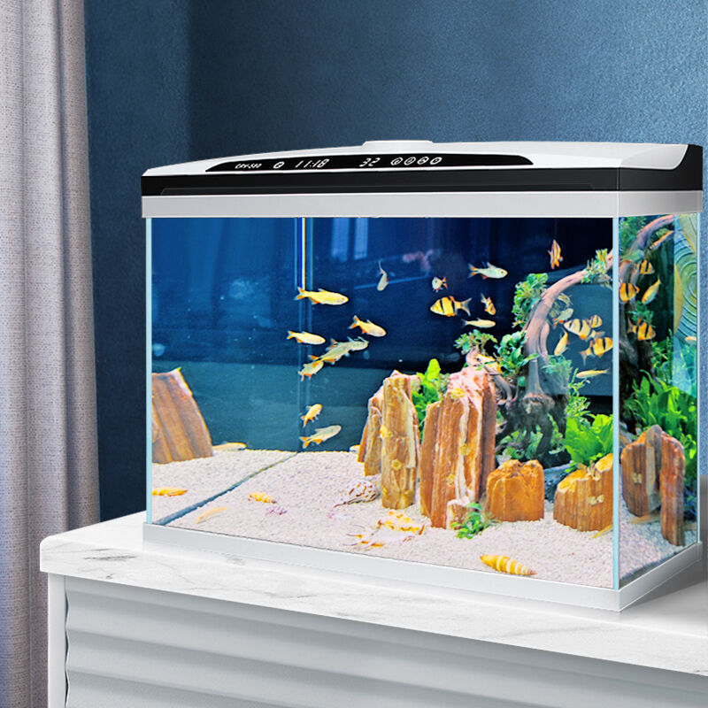 长锐智能恒温超白玻璃鱼缸客厅小型自循环家用水族箱生态免换水金