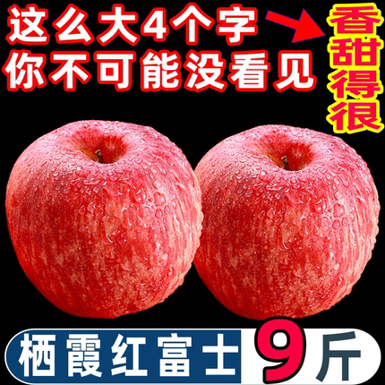 正宗栖霞烟台红富士苹果可口脆甜苹果应季水果新鲜9斤带箱包邮90