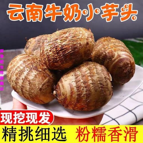 新鲜山东牛奶小芋头新鲜现挖芋头当季农家自