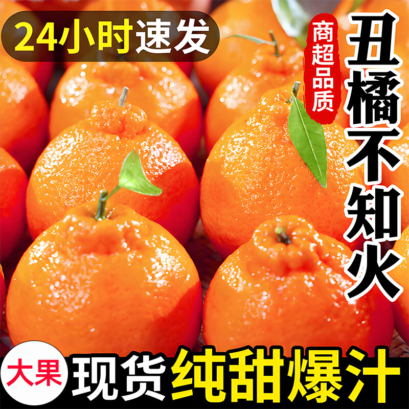 辉掌柜四川不知火丑橘