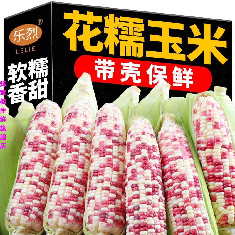 2�� ��Ŵ���� ���ʻ�Ŵ����10����ժ����