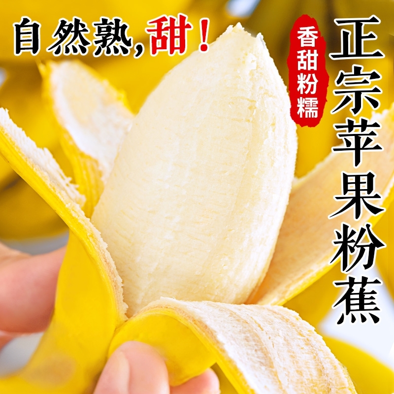 正宗广西小米蕉香蕉9斤新鲜水果整箱当季鲜苹果蕉自然熟粉包邮42