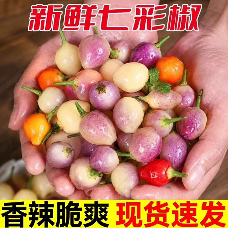 当季新鲜广西五彩椒包邮