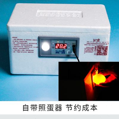 好货芦丁鸡水床孵化机鸡鸭鹅蓝胸鹌鹑鸟受精种蛋家用小型全自动控