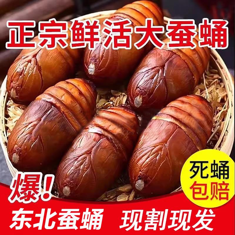 东北特产柞蚕蛹新鲜活2斤尖蛹大黑黄蚕蛹东北大茧蛹蝉蛹500g