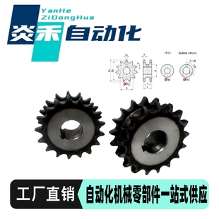 SP40SD15 链轮双列型 SP40SD14 SP40SD13 SP40SD 40B系列SP40SD12