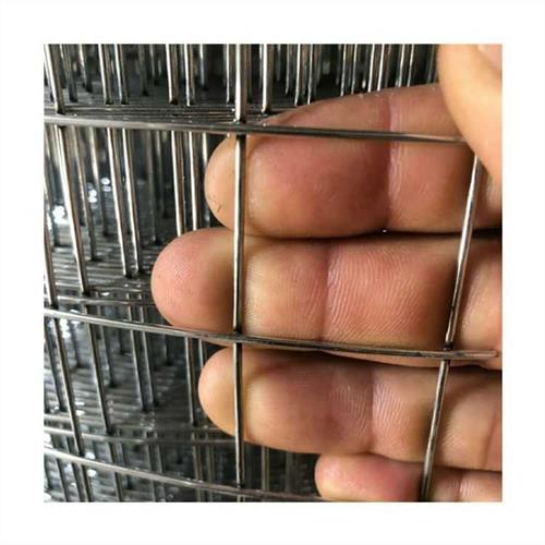 鸡鸭鹅围养护栏防锈网防鼠网钢丝隔离网菜园拦鸡网圈地网玉米网