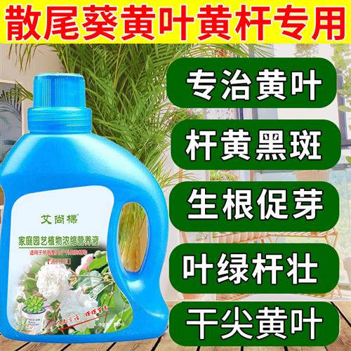 散尾葵肥料营养液凤尾竹肥料治叶子发黄烂根家用盆栽花卉肥料