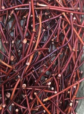 鸡血藤原藤无节有节西藏天然金刚藤男女木质情侣手镯练手复古手环