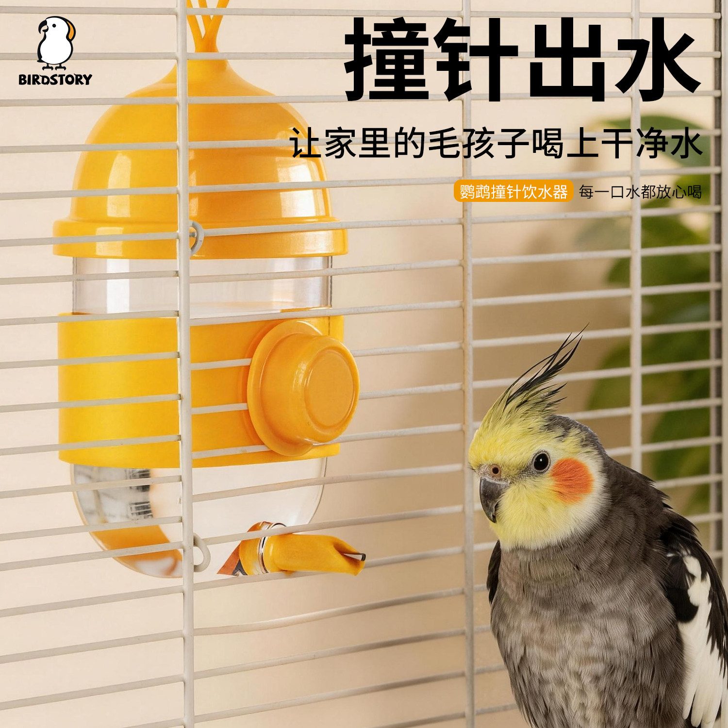 鹦鹉饮水器新款撞针水壶自动喂水器防溅横竖丝通用小太阳牡丹玄凤