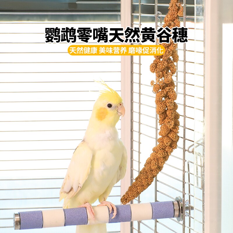 鹦鹉零食谷穗小鸟断奶零食麦穗黄谷穗小米穗天然杂粮虎皮牡丹鸟粮