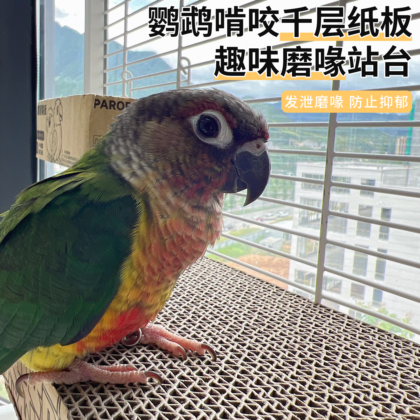 高能鹦鹉啃咬磨嘴磨牙纸板站台