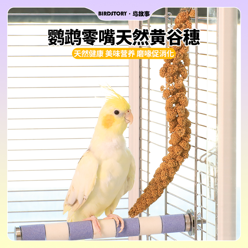 鹦鹉零食谷穗小鸟断奶零食麦穗黄谷穗小米穗天然杂粮虎皮牡丹鸟粮