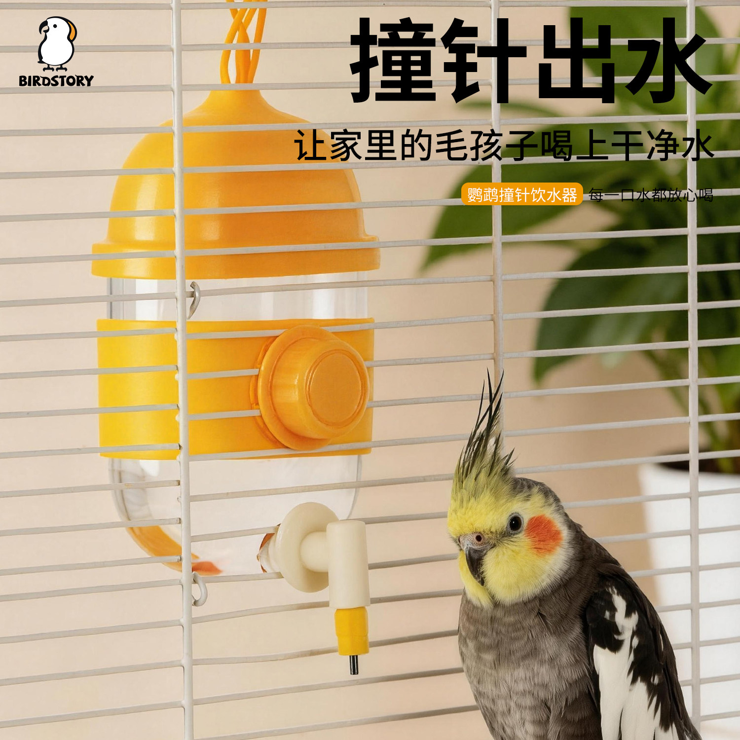 鹦鹉饮水器新款撞针水壶自动喂水器防溅横竖丝通用小太阳牡丹玄凤