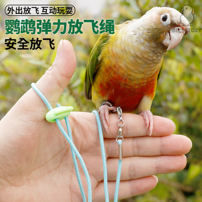 鹦鹉外出不伤脚超轻脚环放飞绳