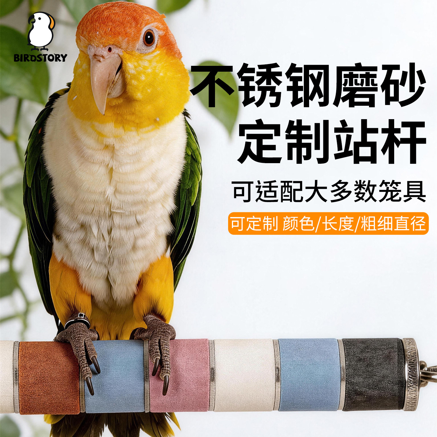 birdstory旗舰店定制磨爪鸟站杆图片