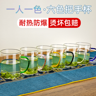 高颜值泡绿茶专用玻璃杯耐高温茶杯家用待客水杯套装喝水杯子带把