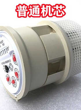 水平80 100 水表芯 DN65冷水表机芯 DN50热水表机芯 DN40水表机芯