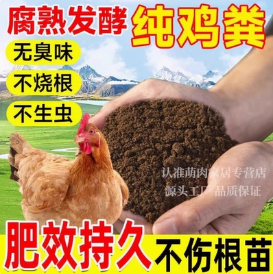 纯鸡粪高温发酵腐熟养花种菜