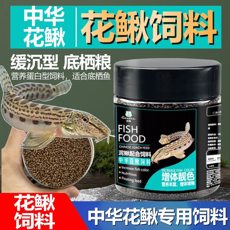 花鳅刀鳅鼠鱼虾虎沉底鱼粮不浑水