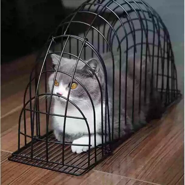 洗猫笼猫咪洗澡专用防抓咬固定