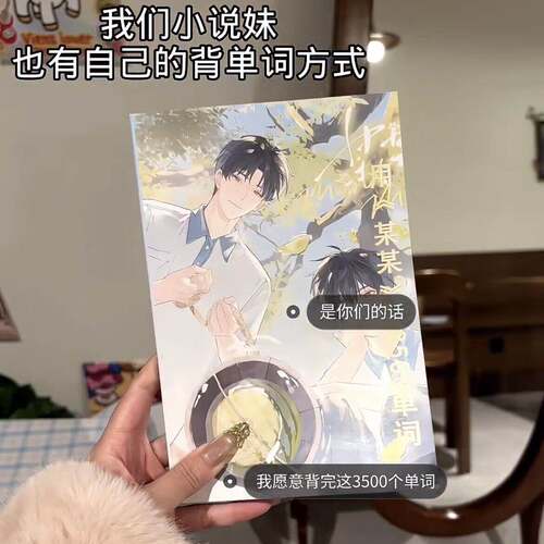 《某某》3500单词看小说背英语单词周边礼物送闺蜜对象学习彩页本