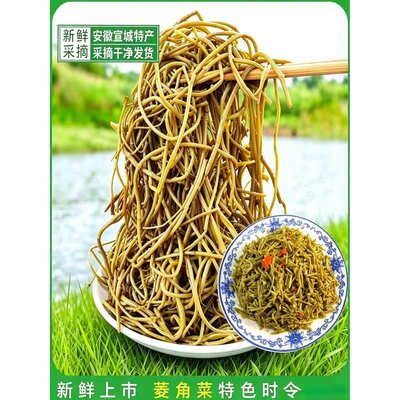 26年新货安徽宣城500g2袋菱角菜新鲜采摘特产南漪湖野生棱格角菜