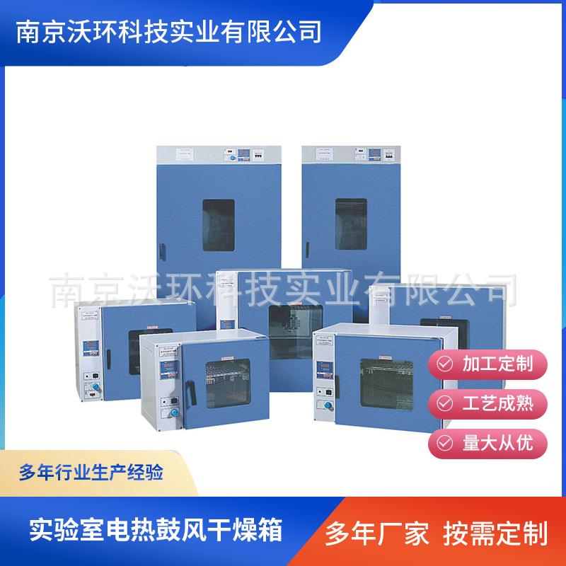 供应实验室电热鼓风干燥箱恒温干燥箱实验室烘箱小型循环恒温