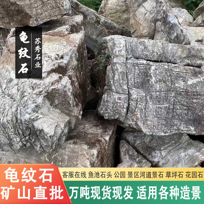 山东龟纹石草坪石 风景石园林景观石 大型龟纹石假山石料 河道石